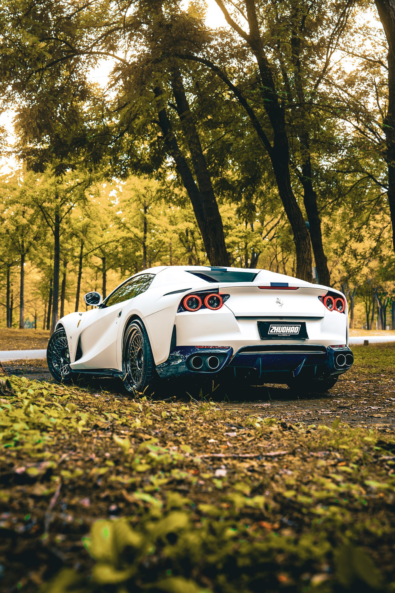 N-Zero Forged SF-17 Disco Volante image 10