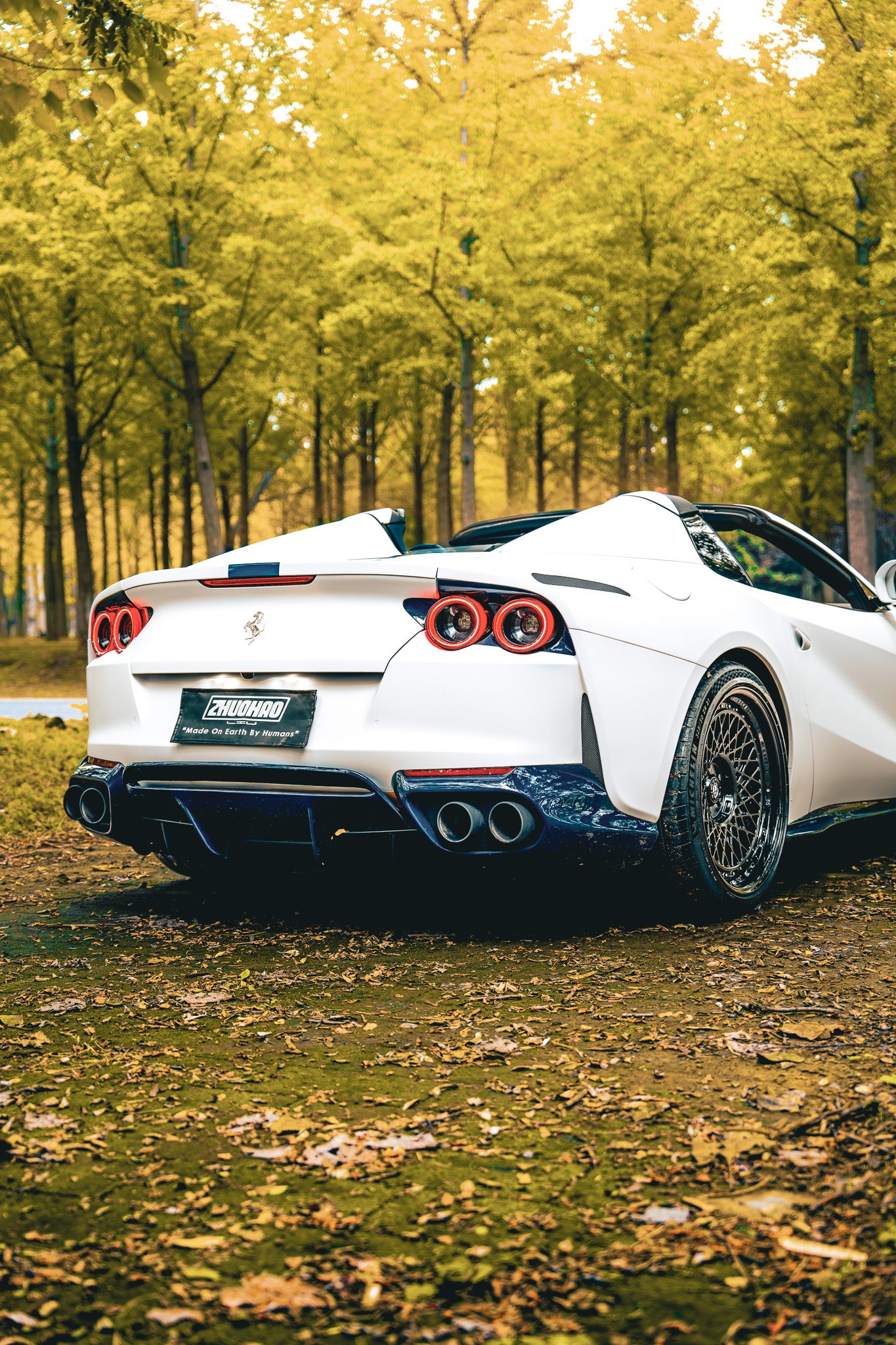 N-Zero Forged SF-17 Disco Volante image 13