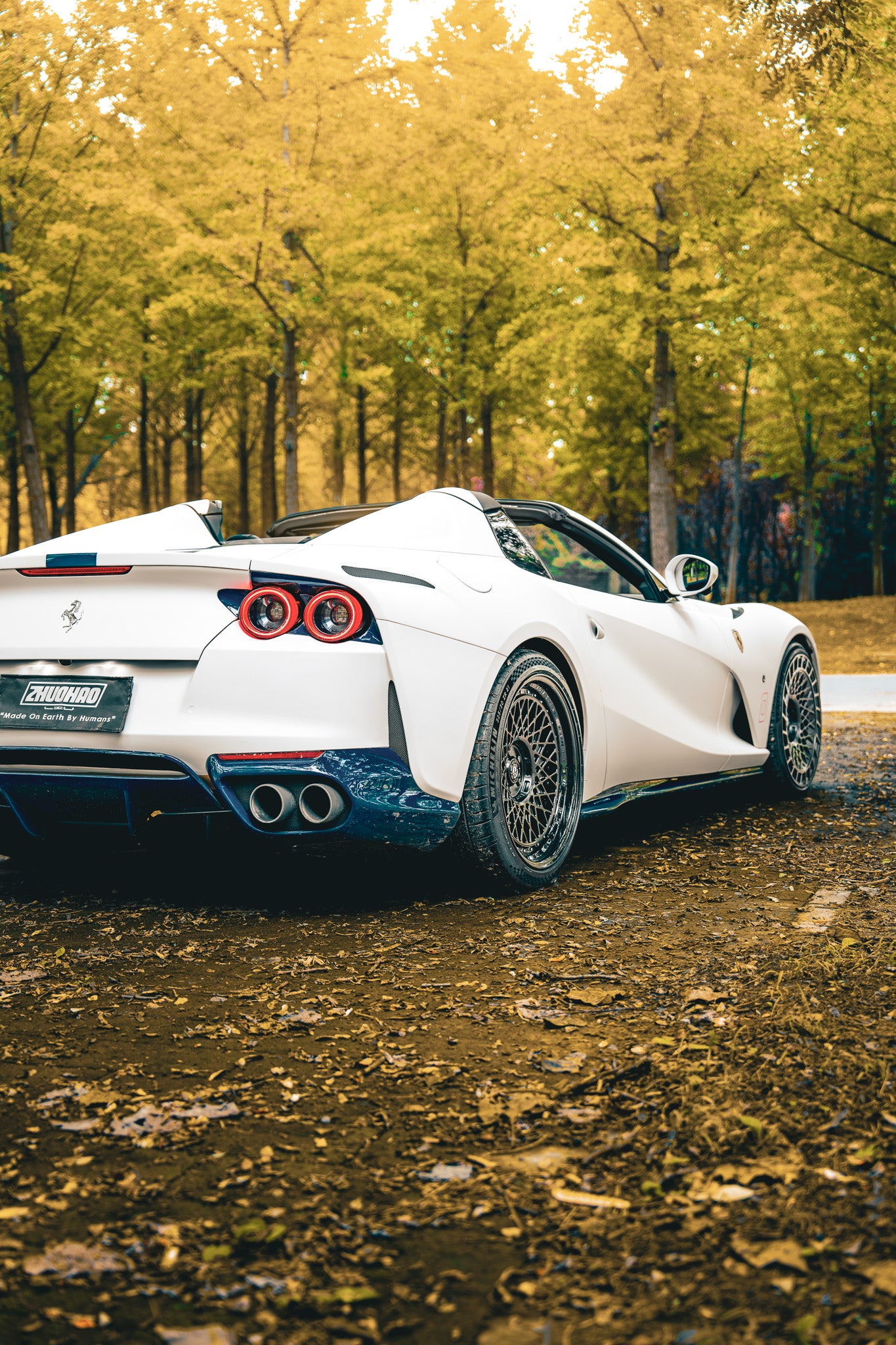 N-Zero Forged SF-17 Disco Volante image 11