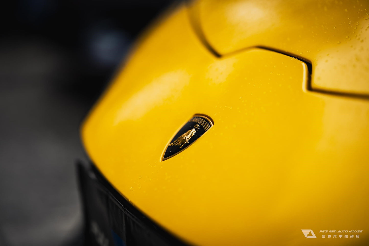 N-Zero Forged UF-01 Solar Crown (For Lamborghini & More)
