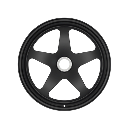 IPE MFV-01 Magnesium Wheels