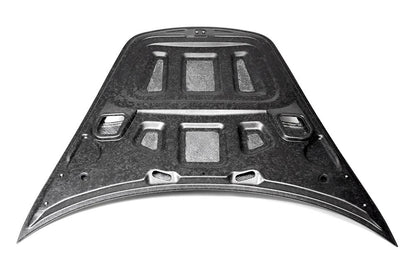 Apollo 2015-2019 Porsche 911 GT2 RS/GT3 RS (991.2) Hood