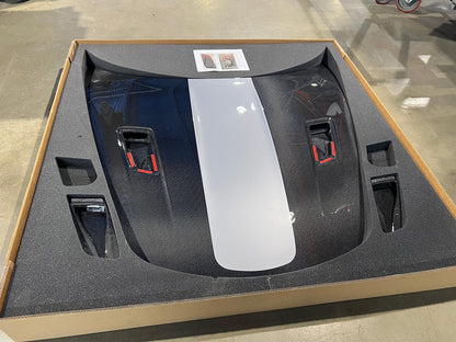 Apollo 2015-2019 Porsche 911 GT2 RS/GT3 RS (991.2) Hood